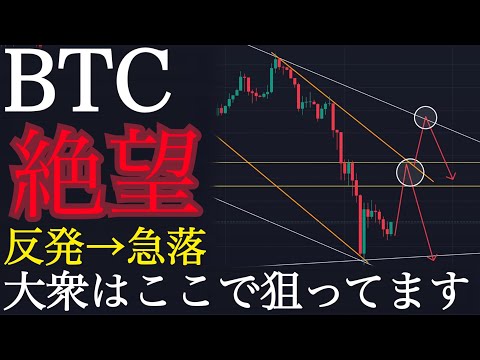 【⚠️絶望】反発してしまったらもう最後です。:BTCUSD分析