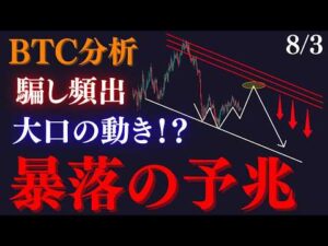 【⚠️BTC”暴落の予兆”です。】この大型逆三尊は大口の騙しの可能性大!?チャネル割れには要注意です。:トレーダーRedのBTCUSD分析