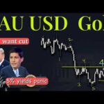 XAuUSD Gold Technical Analysis 25 to 30 May 2026