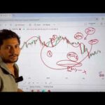 | BTCUSD | XAUUSD |  EURUSD | Analysis | Boom Fx | Aryan pal